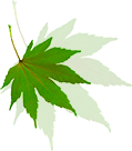 f82961d8bd1d4757b378830f39a90fe3.png