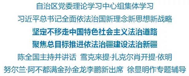 自治区党委理论学习中心组进行集体学习
