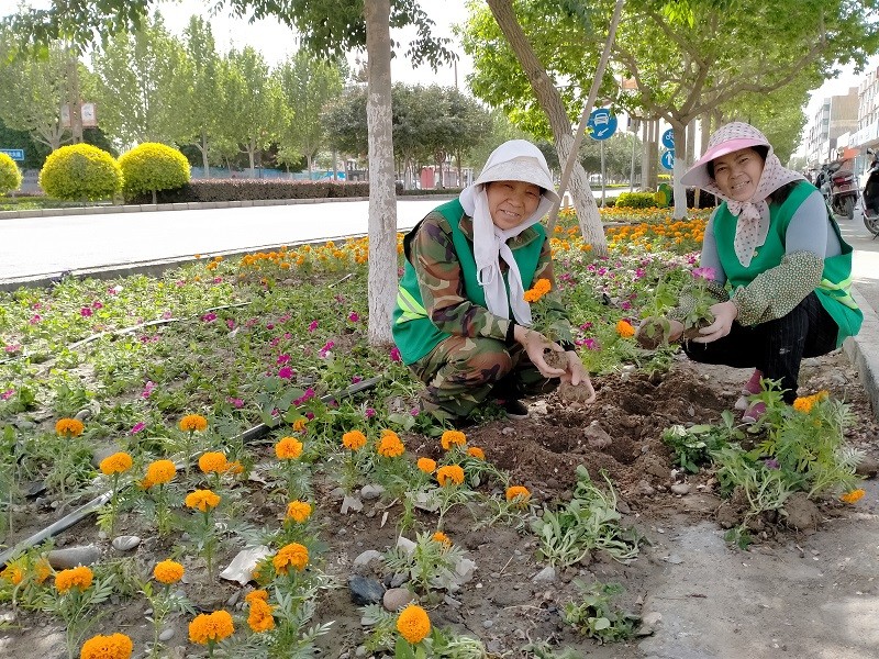 这个“五一”鲜花与劳动者相伴