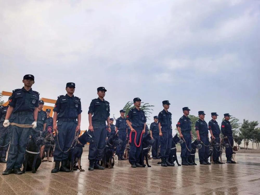 第一师阿拉尔市公安局警犬大队 首次亮相胡杨河畔！飒！