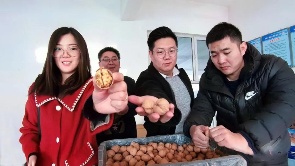 三团的核桃，被一群年轻人“盯上”了