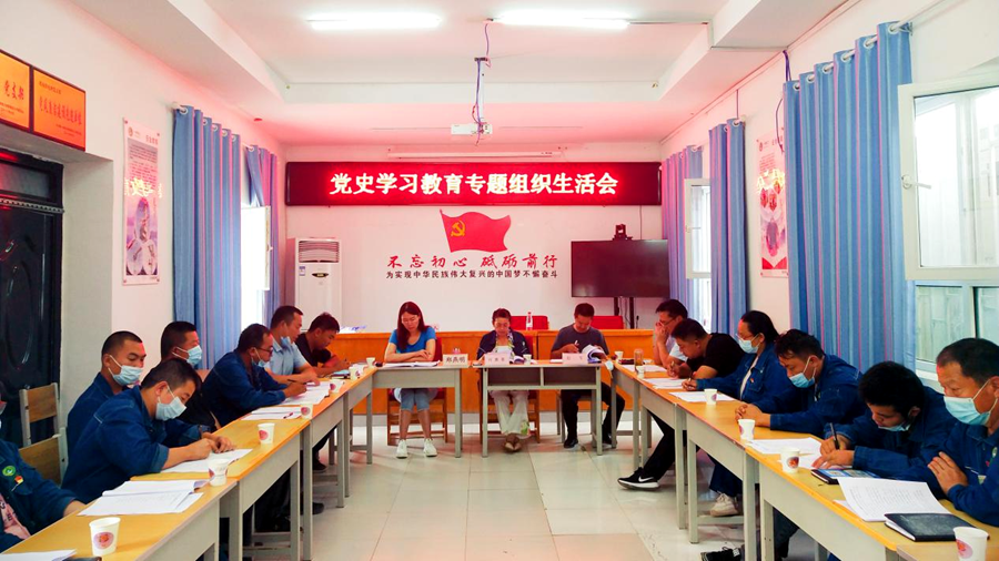 电力公司各党支部开展党史学习教育专题组织生活会