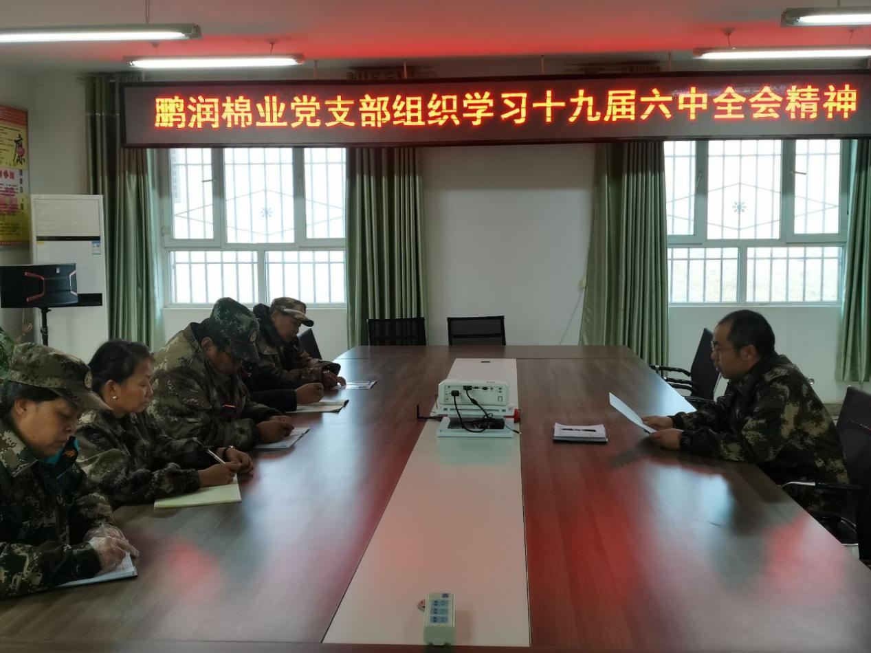 鹏润棉业党支部认真学习党的十九届六中全会精神