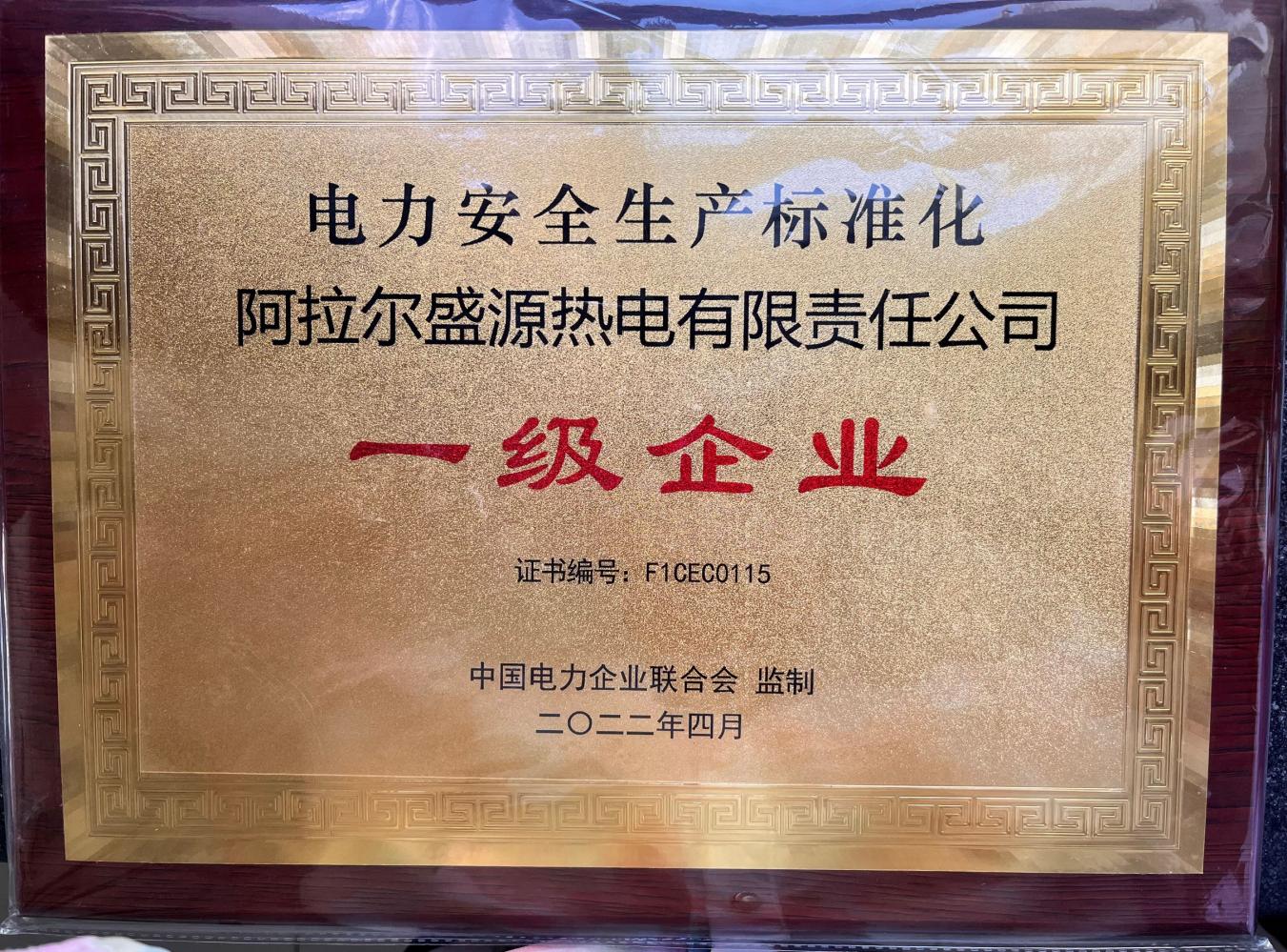 阿拉尔盛源热电有限责任公司荣获 “电力安全生产标准化一级企业”称号