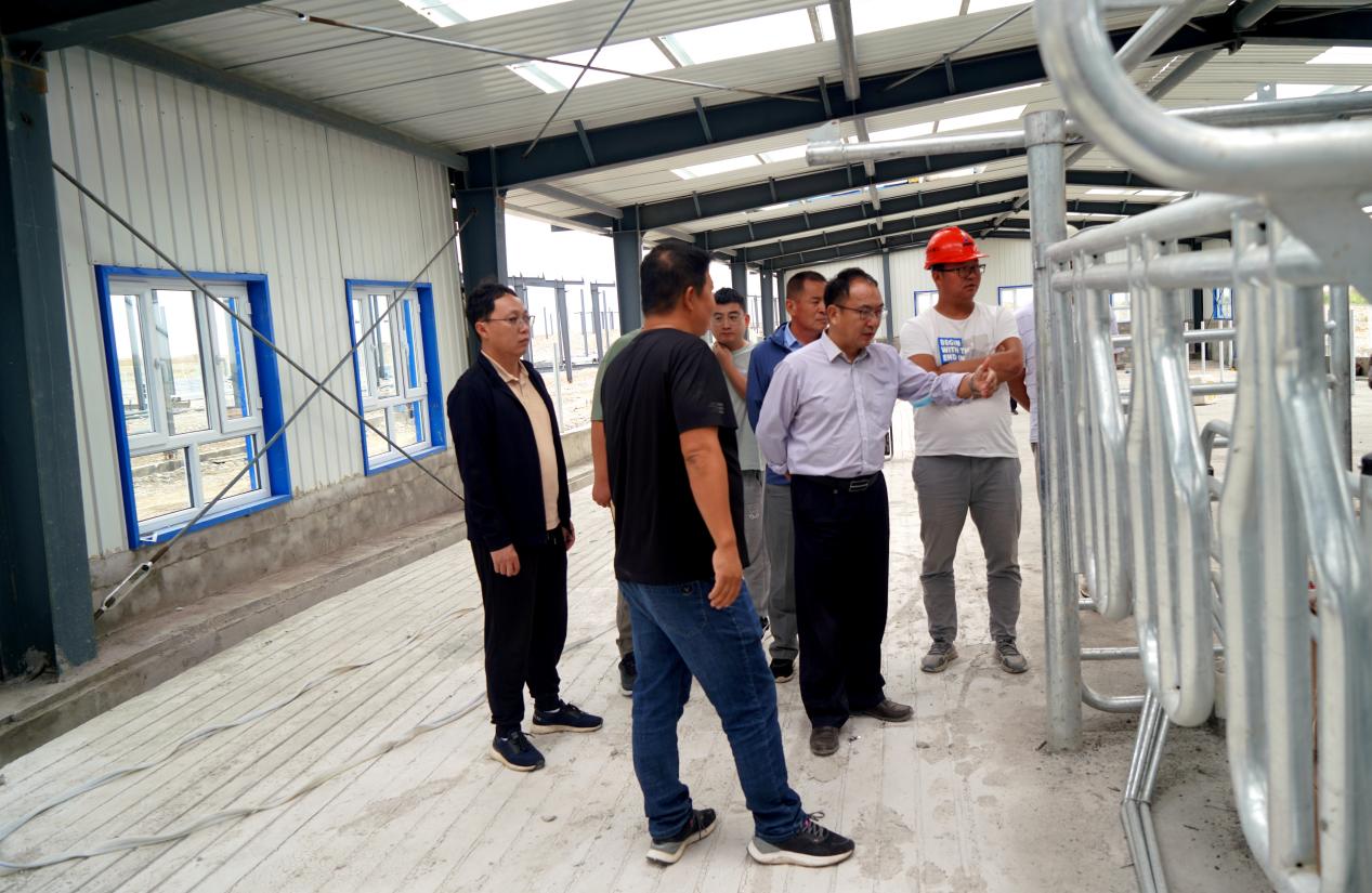 新农开发全力以赴推进公司重大项目建设