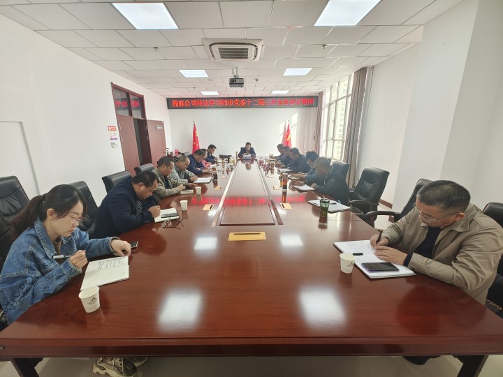棉麻公司学习传达师市党委第十二届三次全会精神