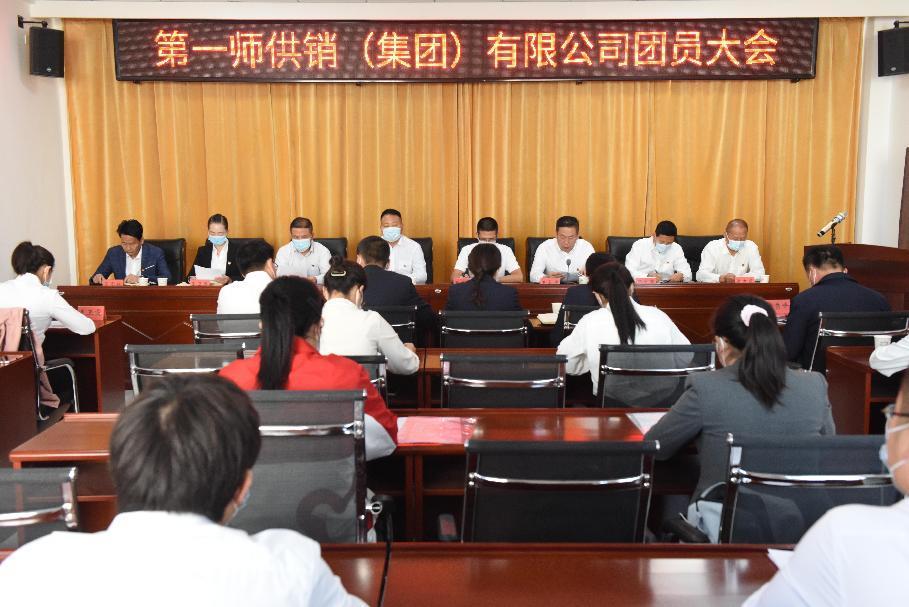 青春向党 奋斗强国  供销集团团委正式成立   