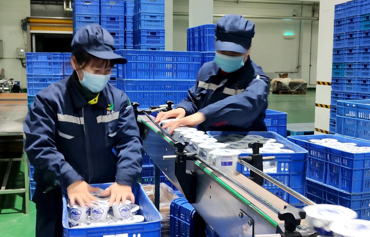 新农乳业公司开足马力备战春节市场