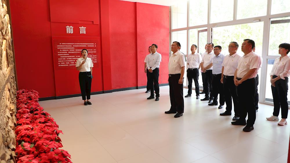 师市党委班子成员开展党风廉政教育活动