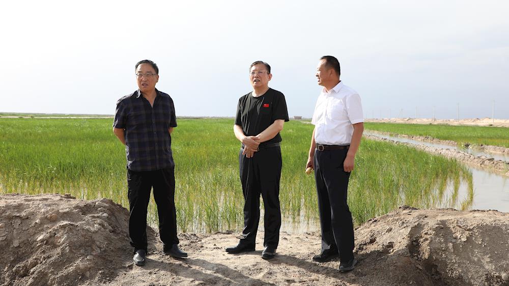 师市党委书记、政委丁翊强在库沙新拜产业园调研