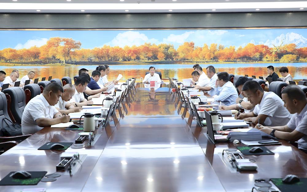 师市党委理论学习中心组专题学习党的二十届三中全会精神