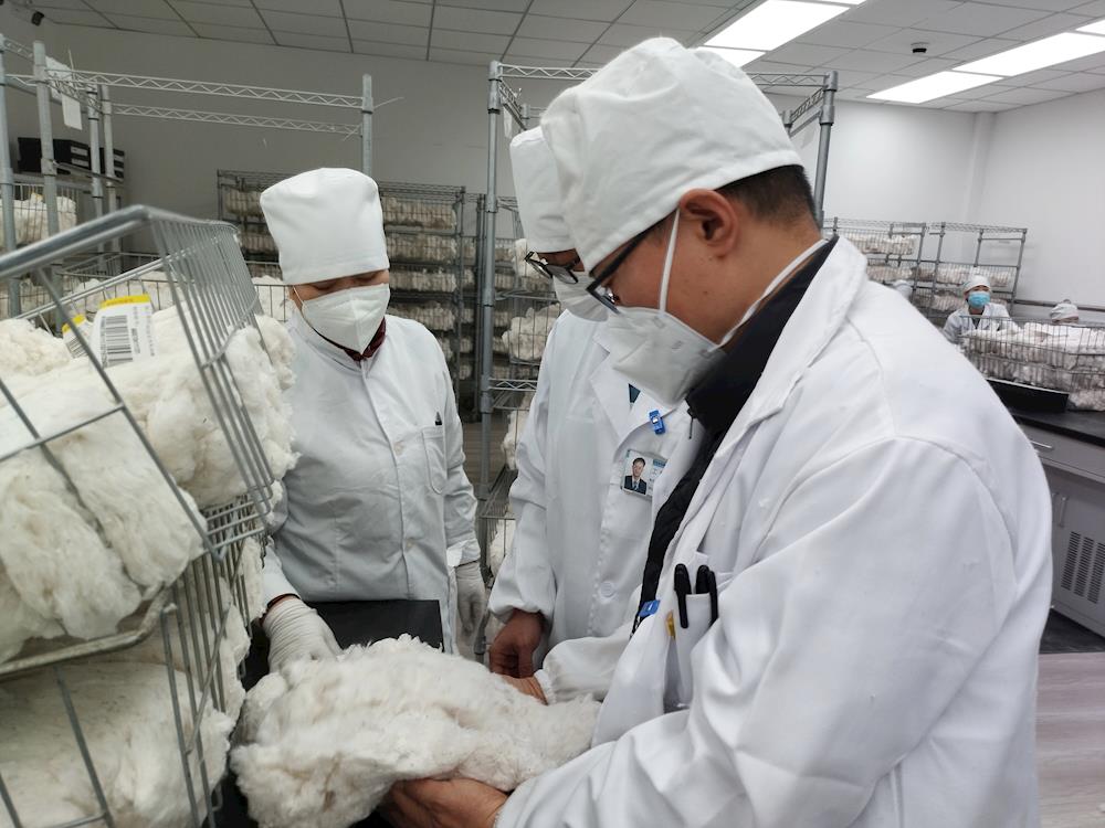 中国棉花公证检验阿拉尔实验室已检棉花26.65万吨