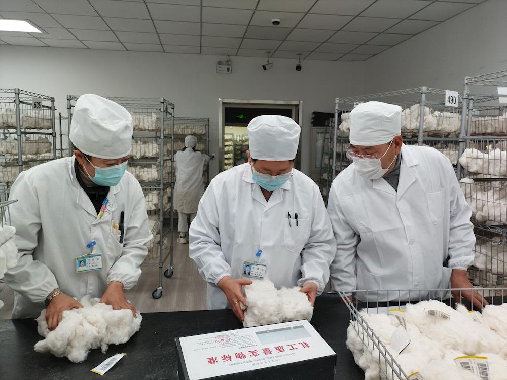 中国棉花公证检验阿拉尔实验室检验量突破35万吨