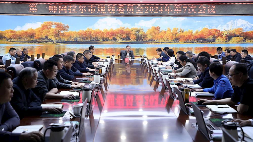 师市规划委员会召开会议