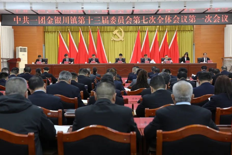 团镇党委十三届七次全会召开
