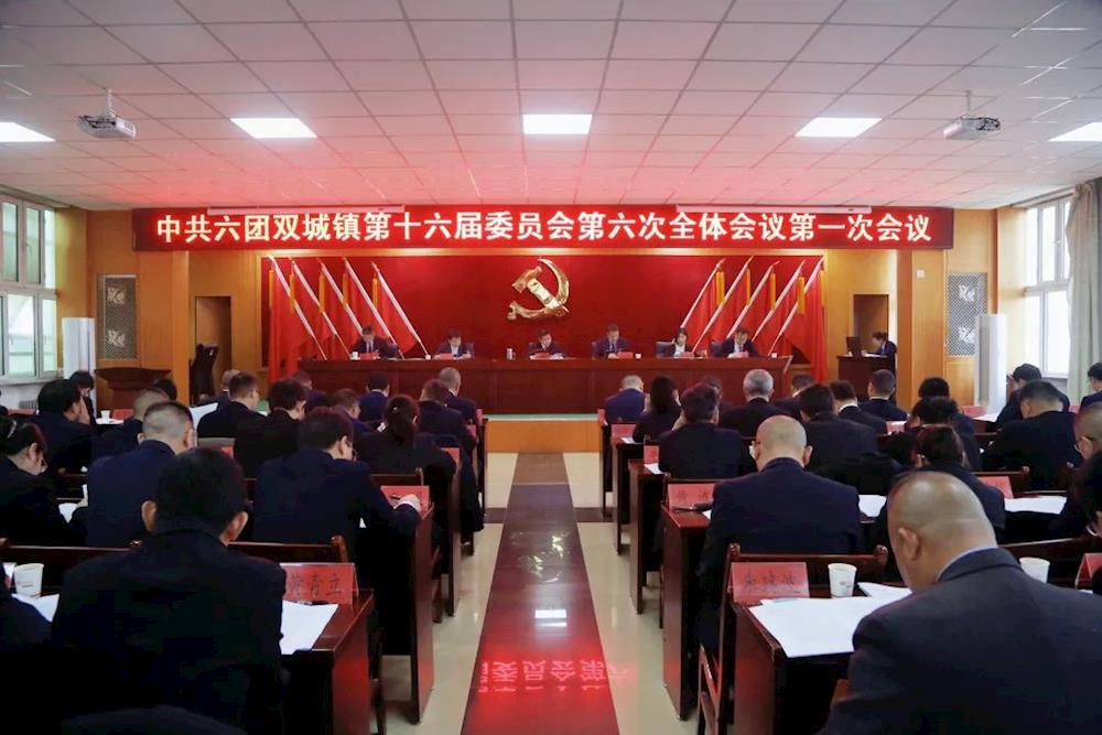 中国共产党六团双城镇第十六届委员会第六次全体会议召开