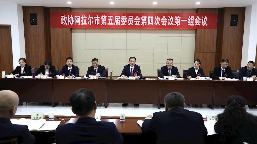 丁翊强参加市政协五届四次会议分组讨论