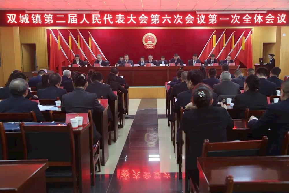 双城镇召开第二届人民代表大会第六次会议